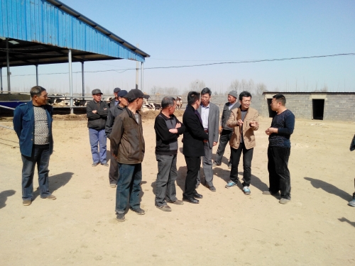 beat365教师为奶牛养殖户举办科技培训