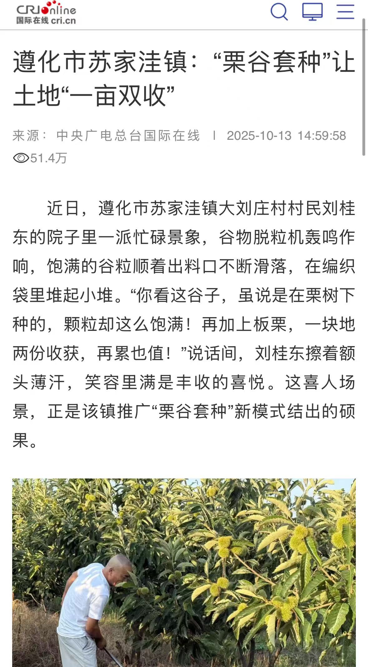 《国际在线》《环渤海新闻网》《唐山劳动日报》——遵化苏家洼镇“粟谷套种”激活林下经济新动能