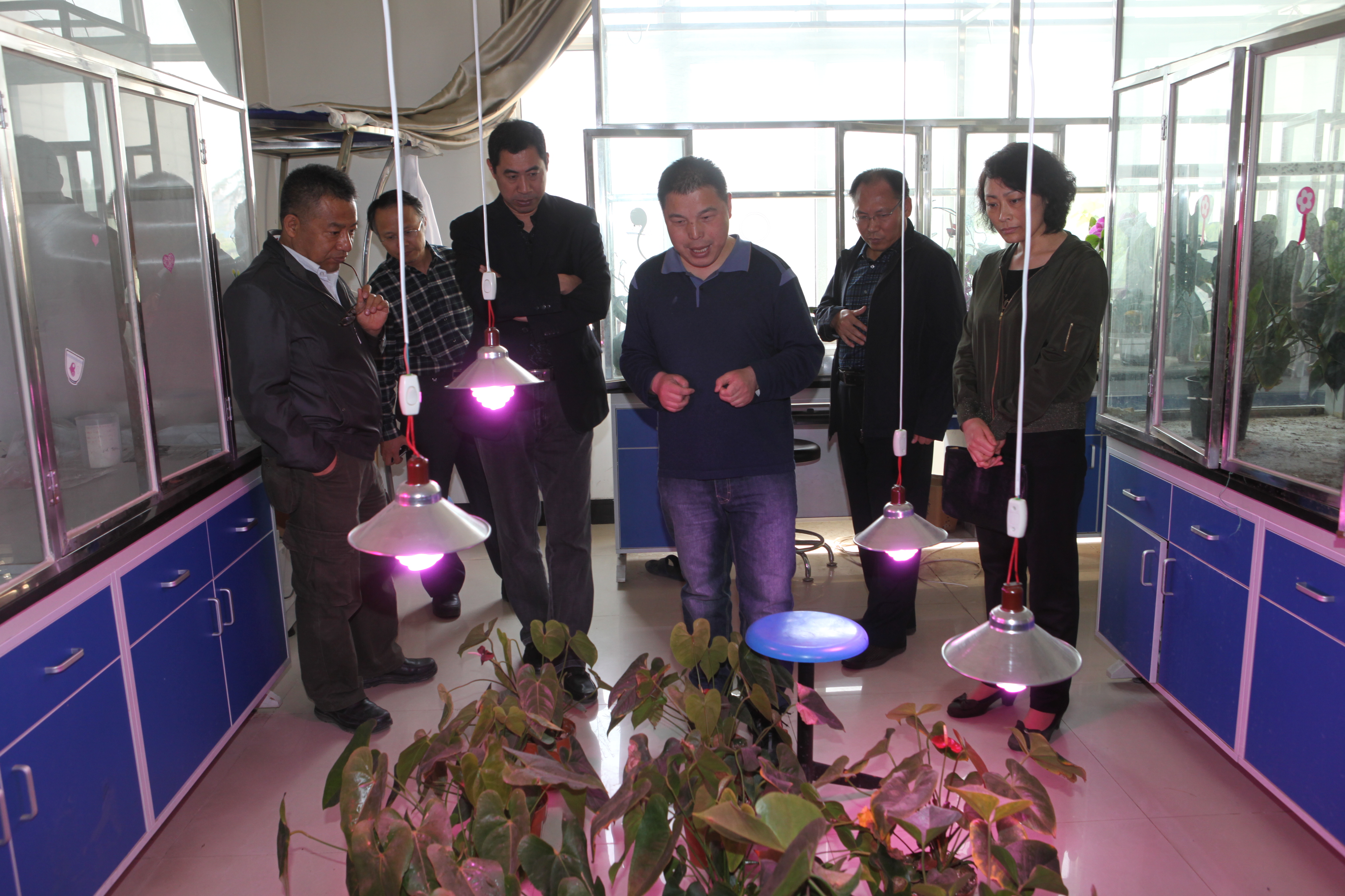 beat365两项唐山市重点实验室项目顺利通过专家验收