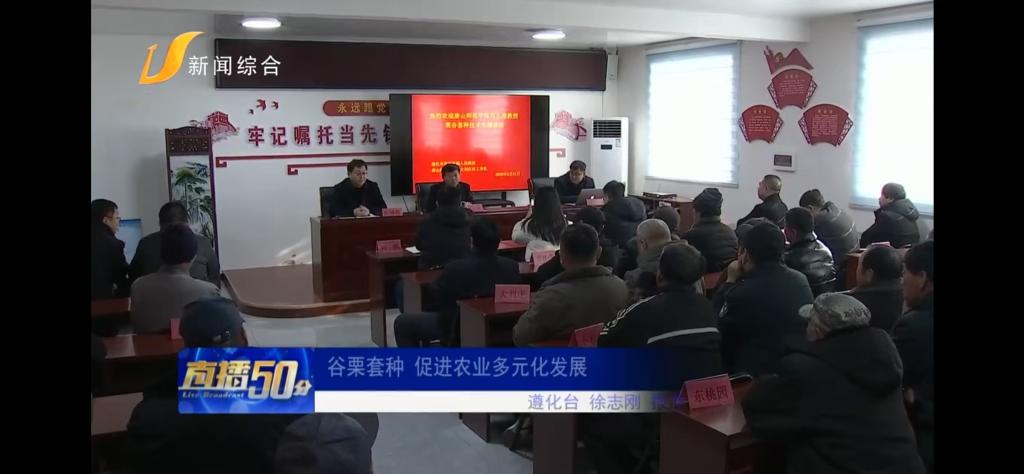 《唐山广播电视台》——beat365官方网站：谷栗套种 促进农业多元化发展